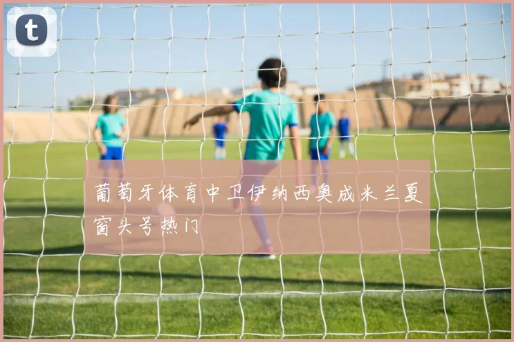 葡萄牙体育中卫伊纳西奥成米兰夏窗头号热门