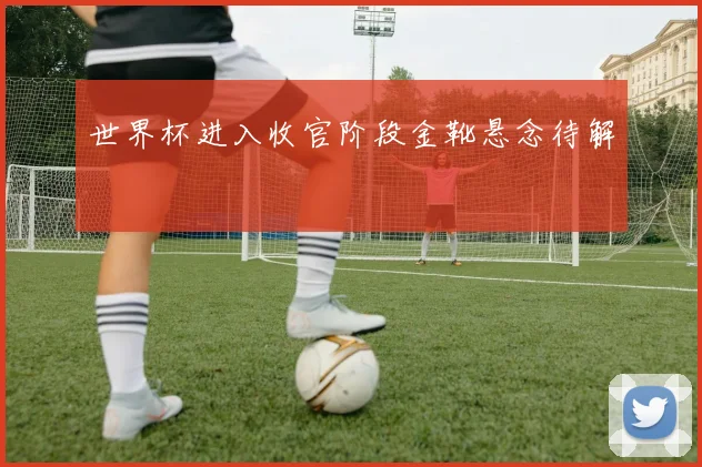 世界杯进入收官阶段金靴悬念待解
