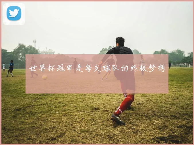 世界杯冠军是每支球队的终极梦想